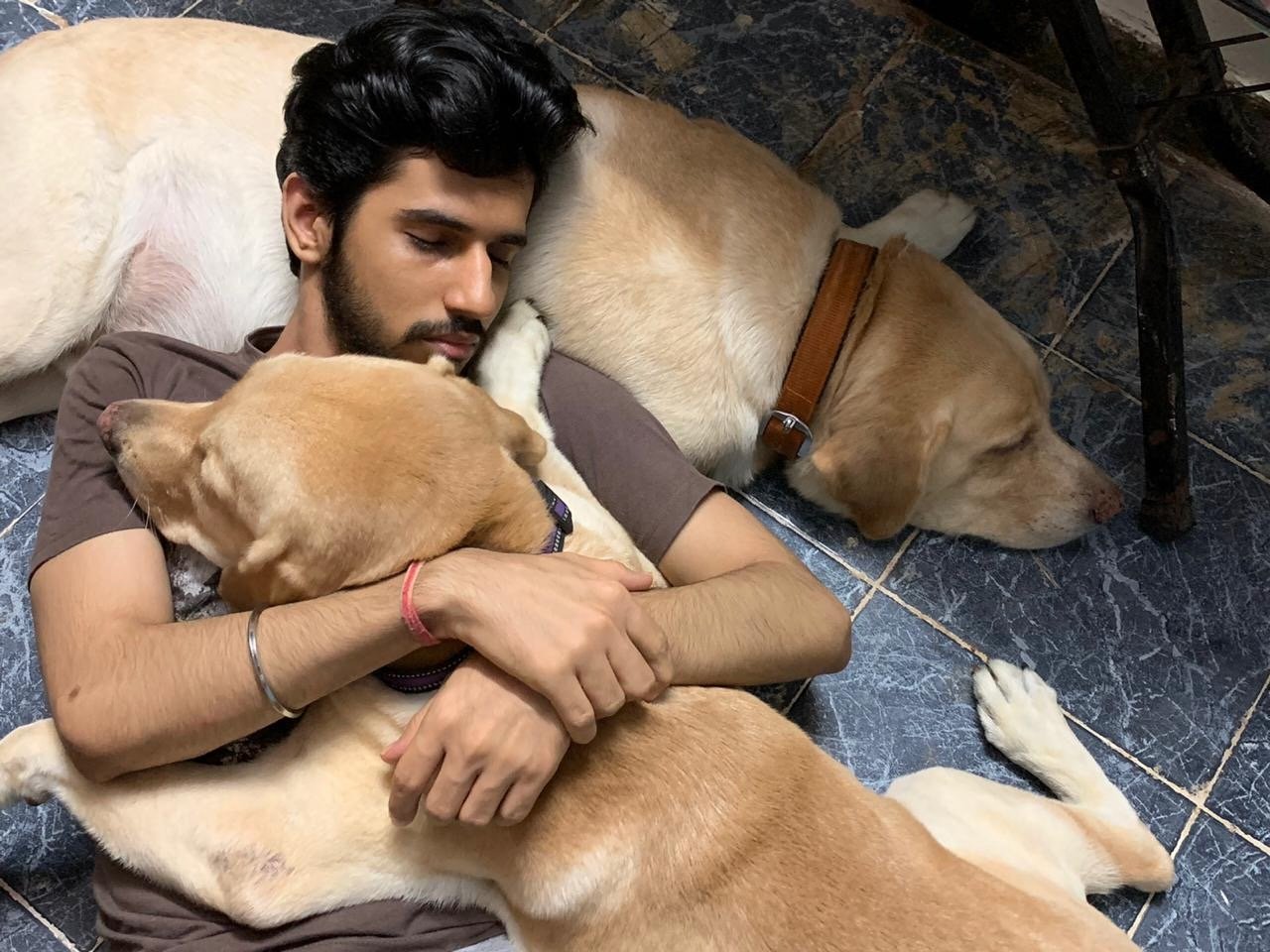 scooby zeus and ragsy sleeping